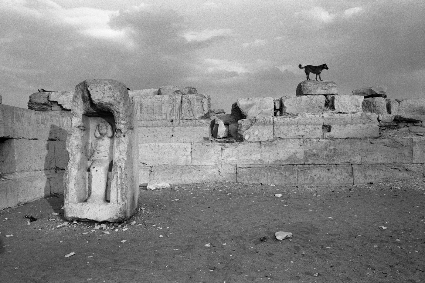 Le temps - Denis Roche