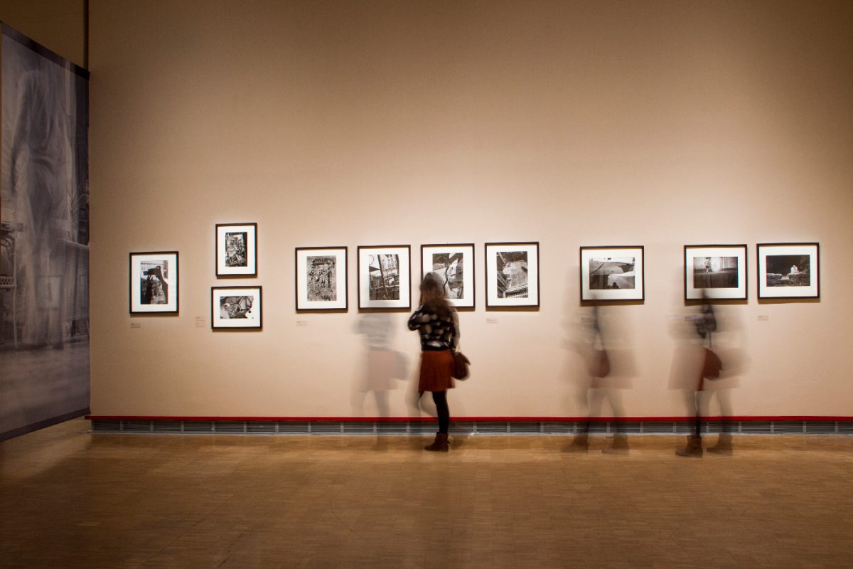Expositions - Denis Roche